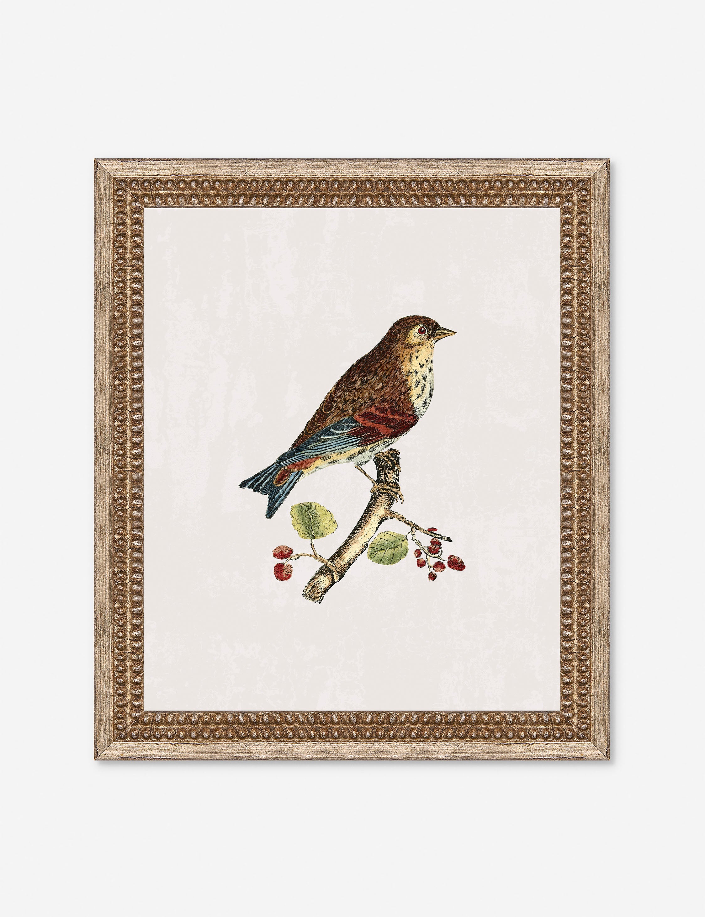Small Birds I Wall Art by Old World