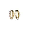 Diamond Petite Round Huggie Earrings - Yellow Gold