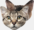Cat Lens Cleaning Cloth