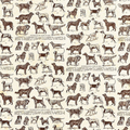 Dog Breeds Fine Paper