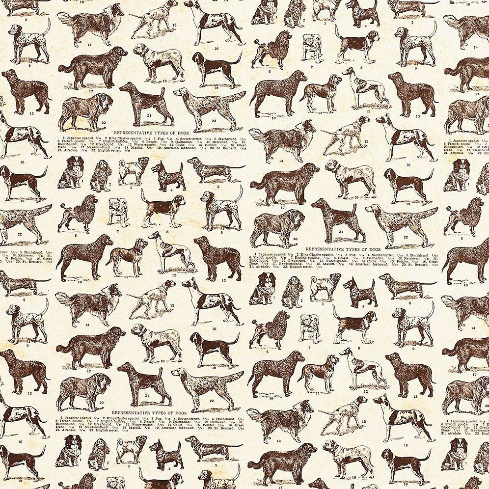 Dog Breeds Fine Paper