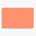 A9 Papaya Note Cards