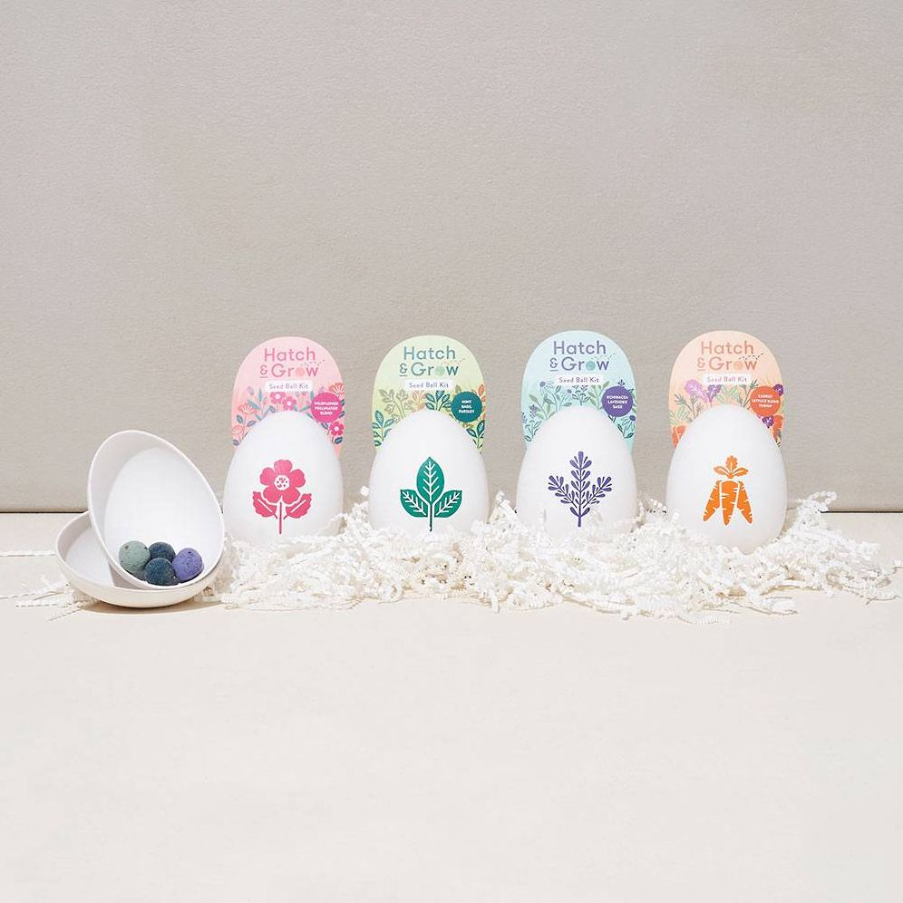 Egg Seed Kit