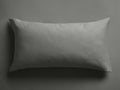Italian Garment-Dyed Linen Sham in Charcoal