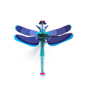 Sapphire Dragonfly