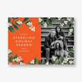 Mistletoe Accent Border Vertical Photo Card