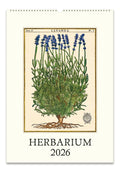 2026 Cavallini Herbarium Wall Calendar