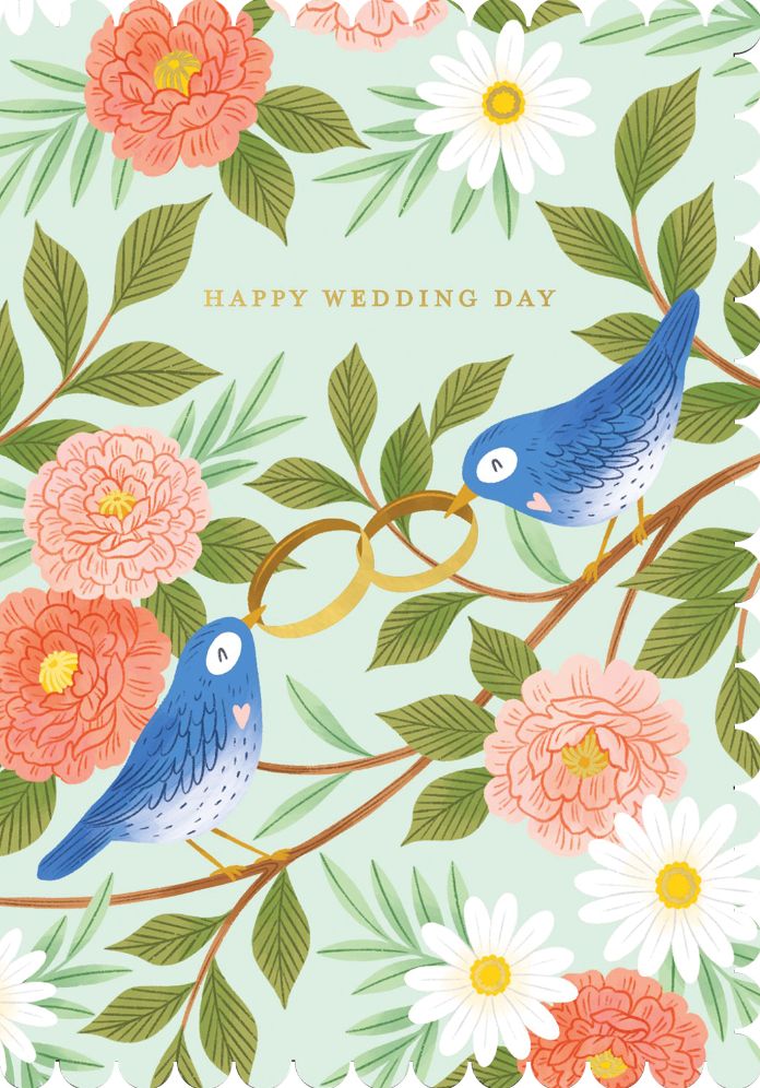 WED Birds & Rings