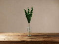 Faux Bird's Nest Fern Frond