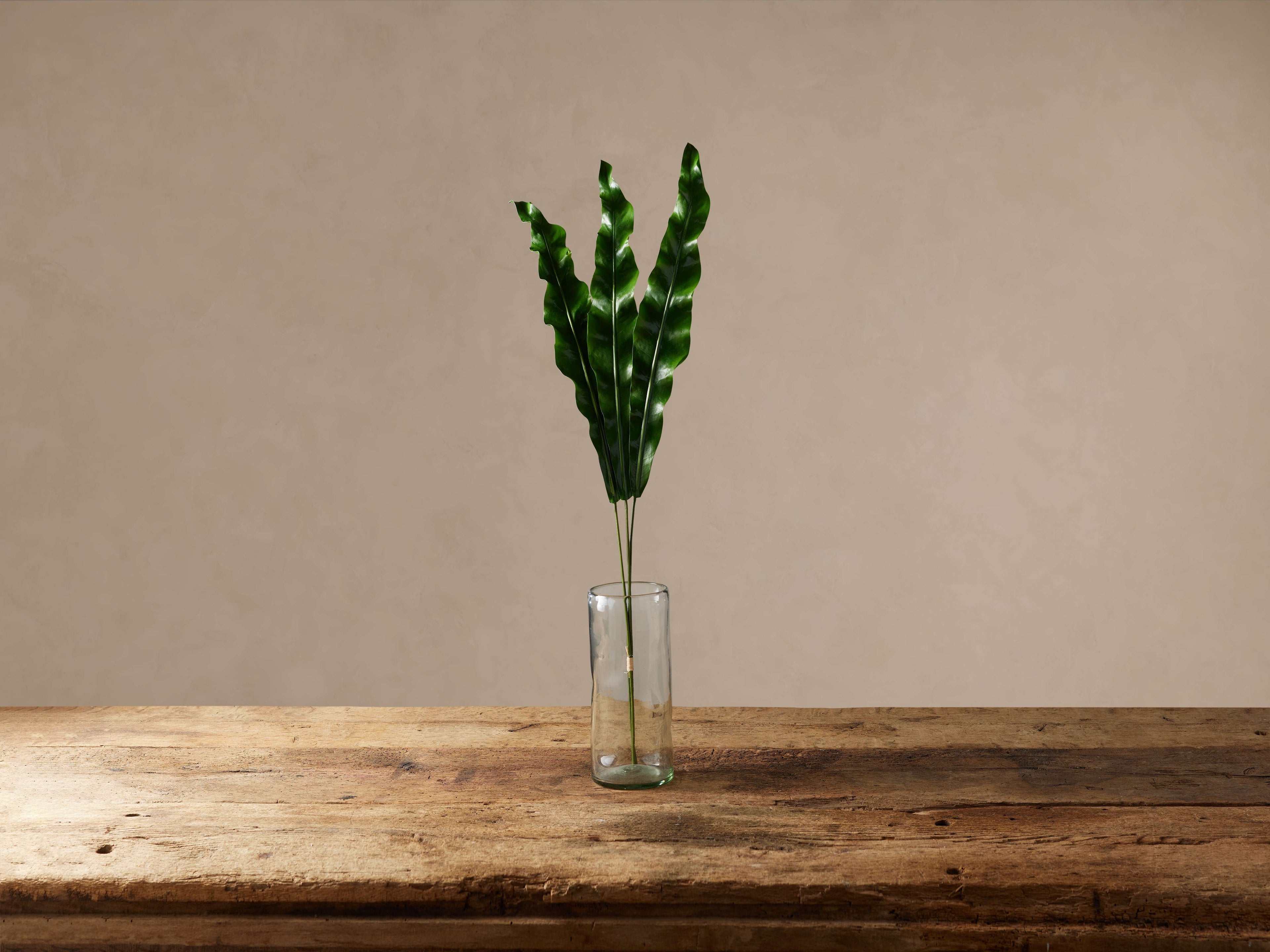 Faux Bird's Nest Fern Frond