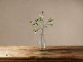 Faux Seeded Eucalyptus Stem