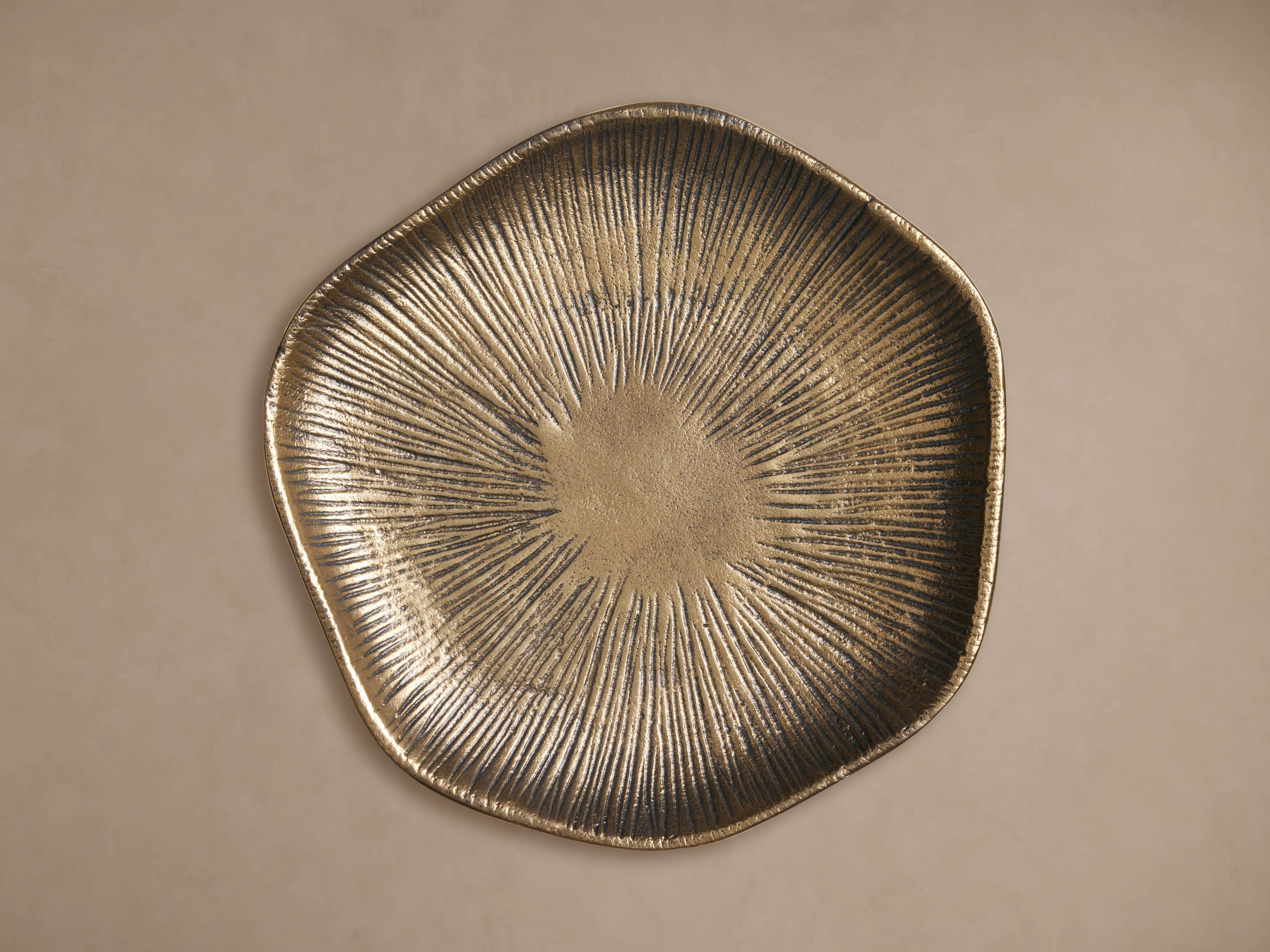 Naomi Wall Disc