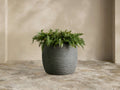 Ojai Ribbed Outdoor Planter