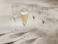 Anisa Champagne Glasses (Set of 4)