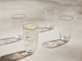 Anisa Highball Glasses (Set of 4)