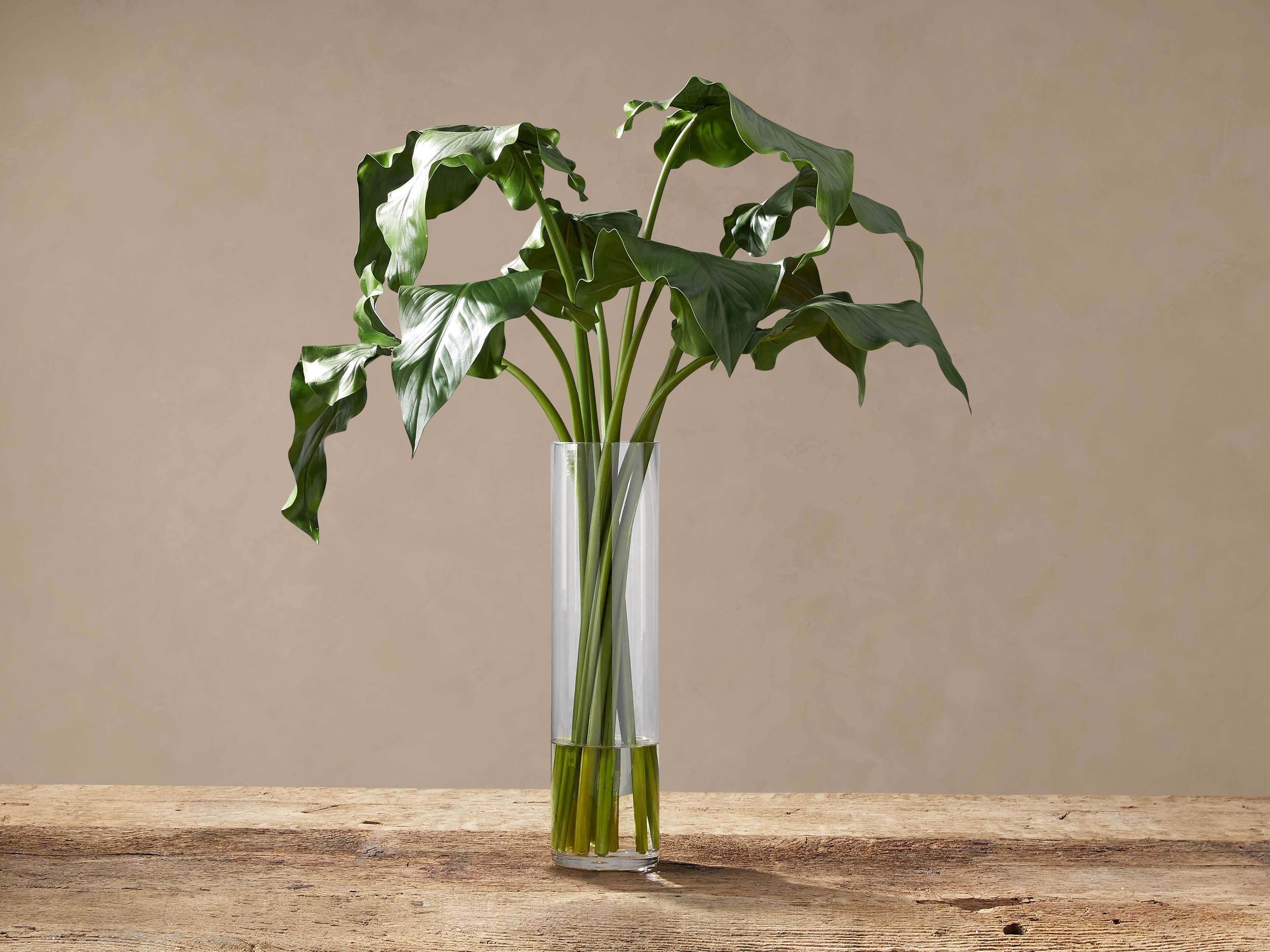 Faux Calla Leaf in Large Vase