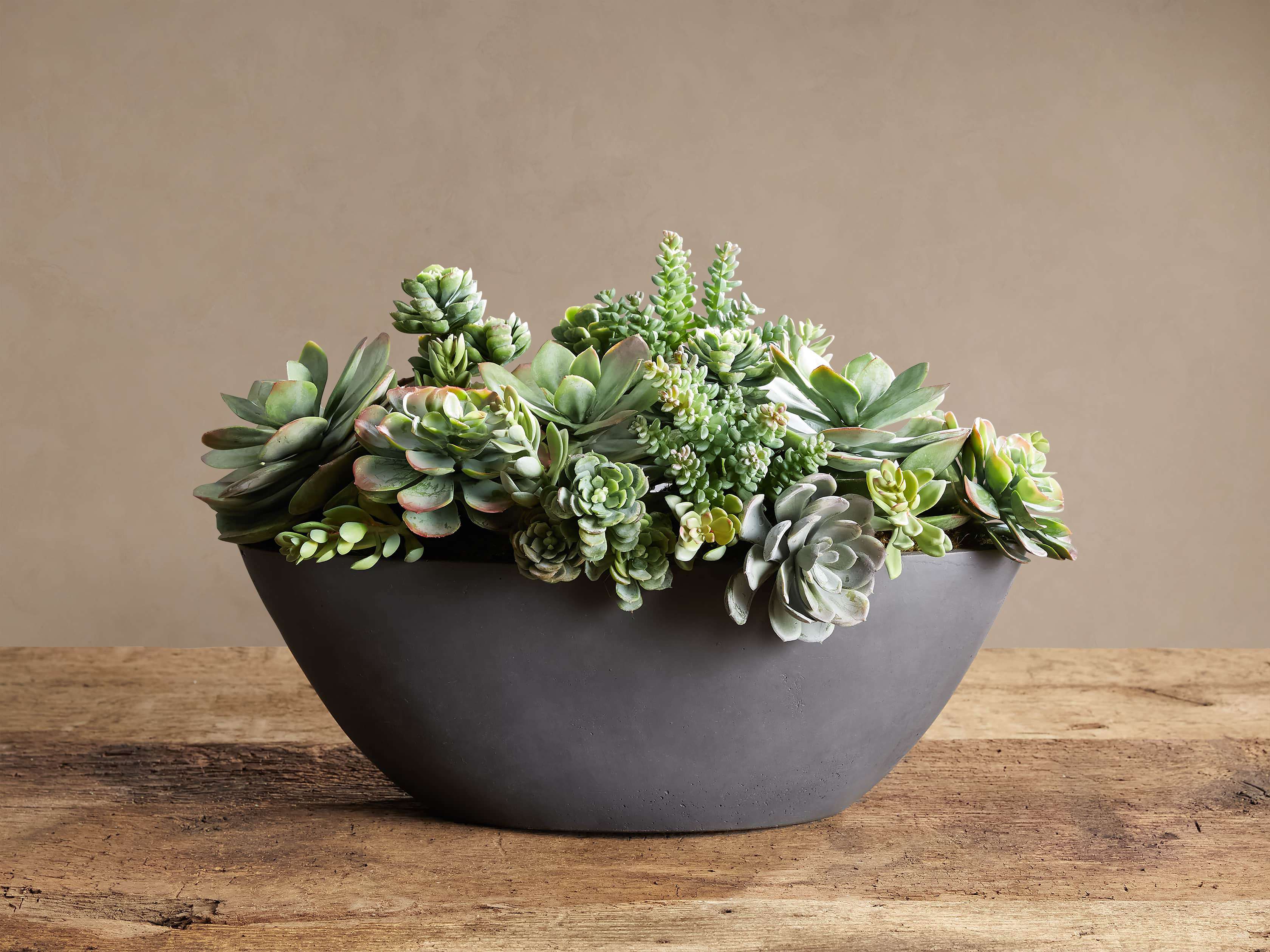 Faux Mix Succulent in Oval Planter