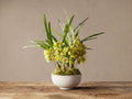 Faux Green Cymbidium Orchid in Bowl