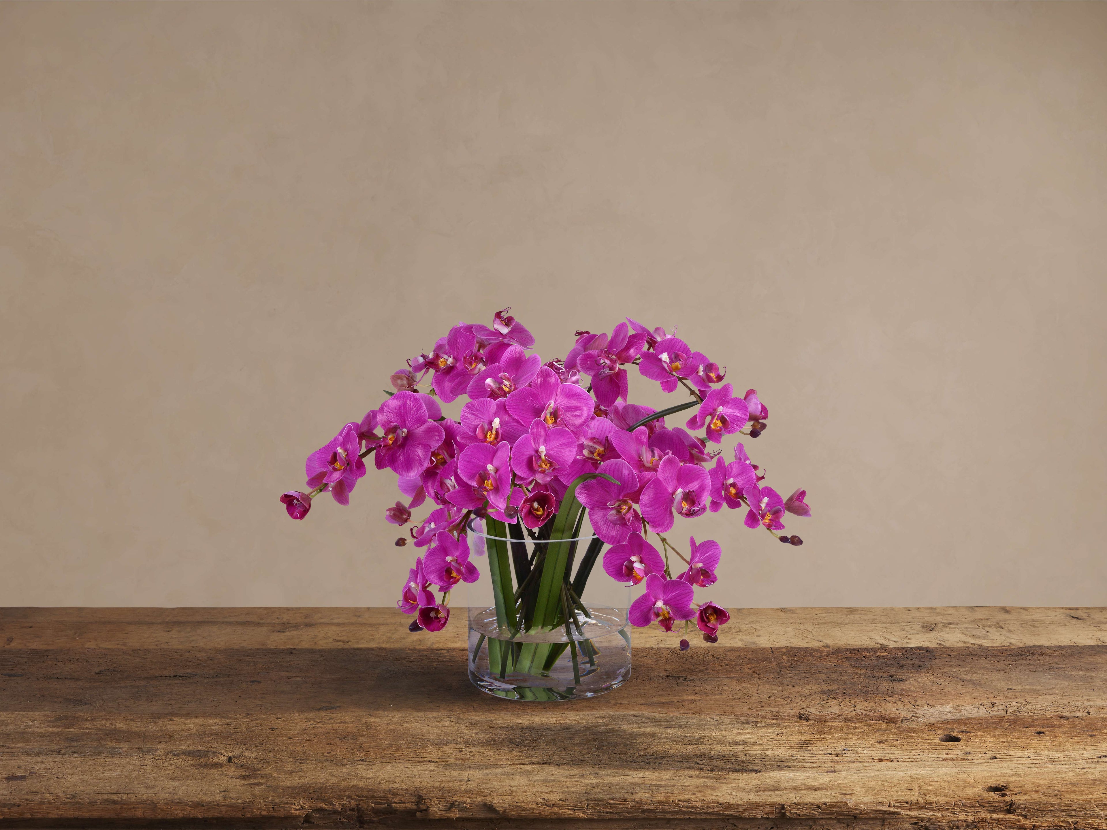 Faux Fuchsia Phalaenopsis in Glass