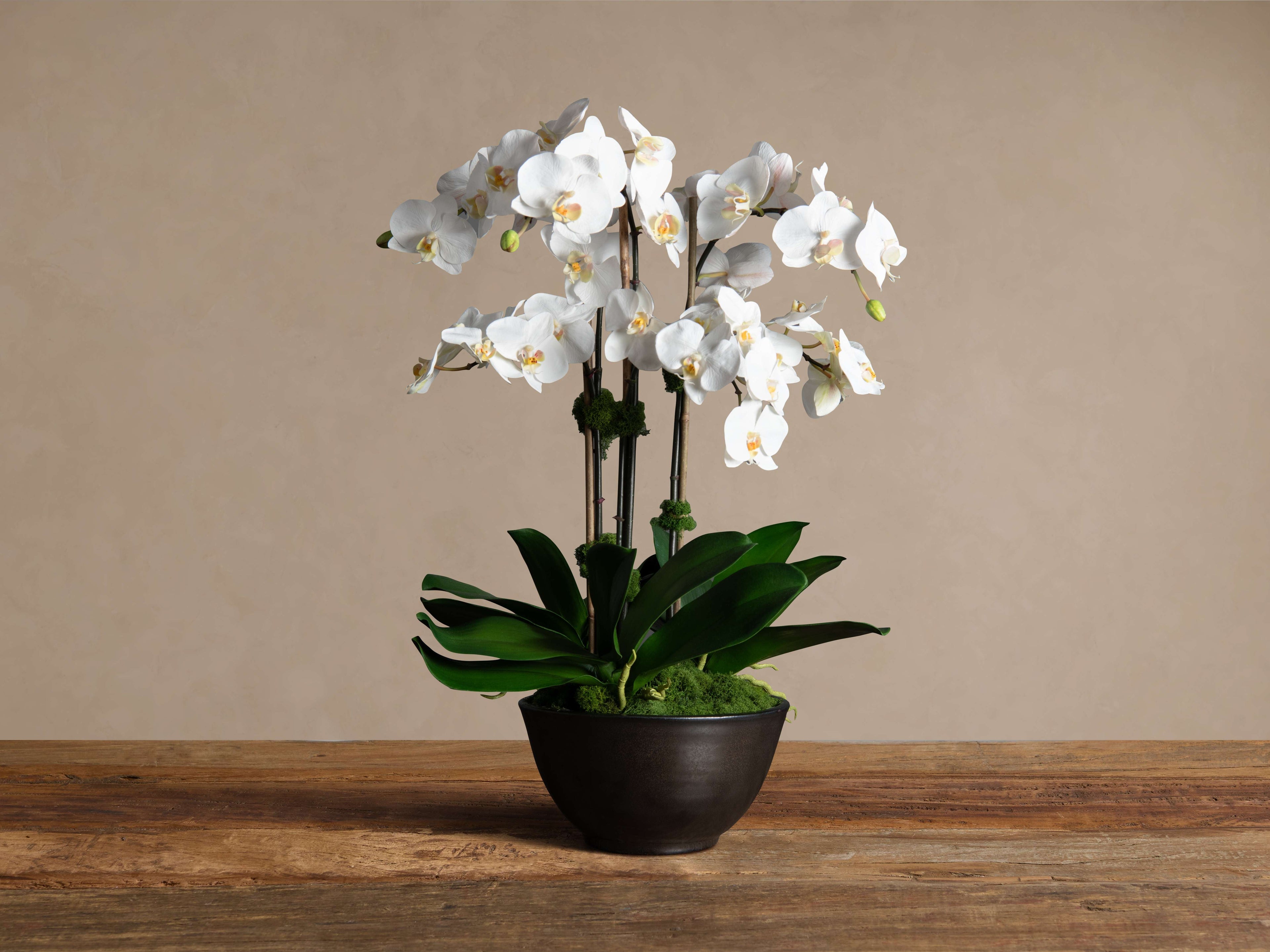 Faux White Orchids in Bronze Terracotta Bowl