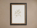 Thistle Framed Print