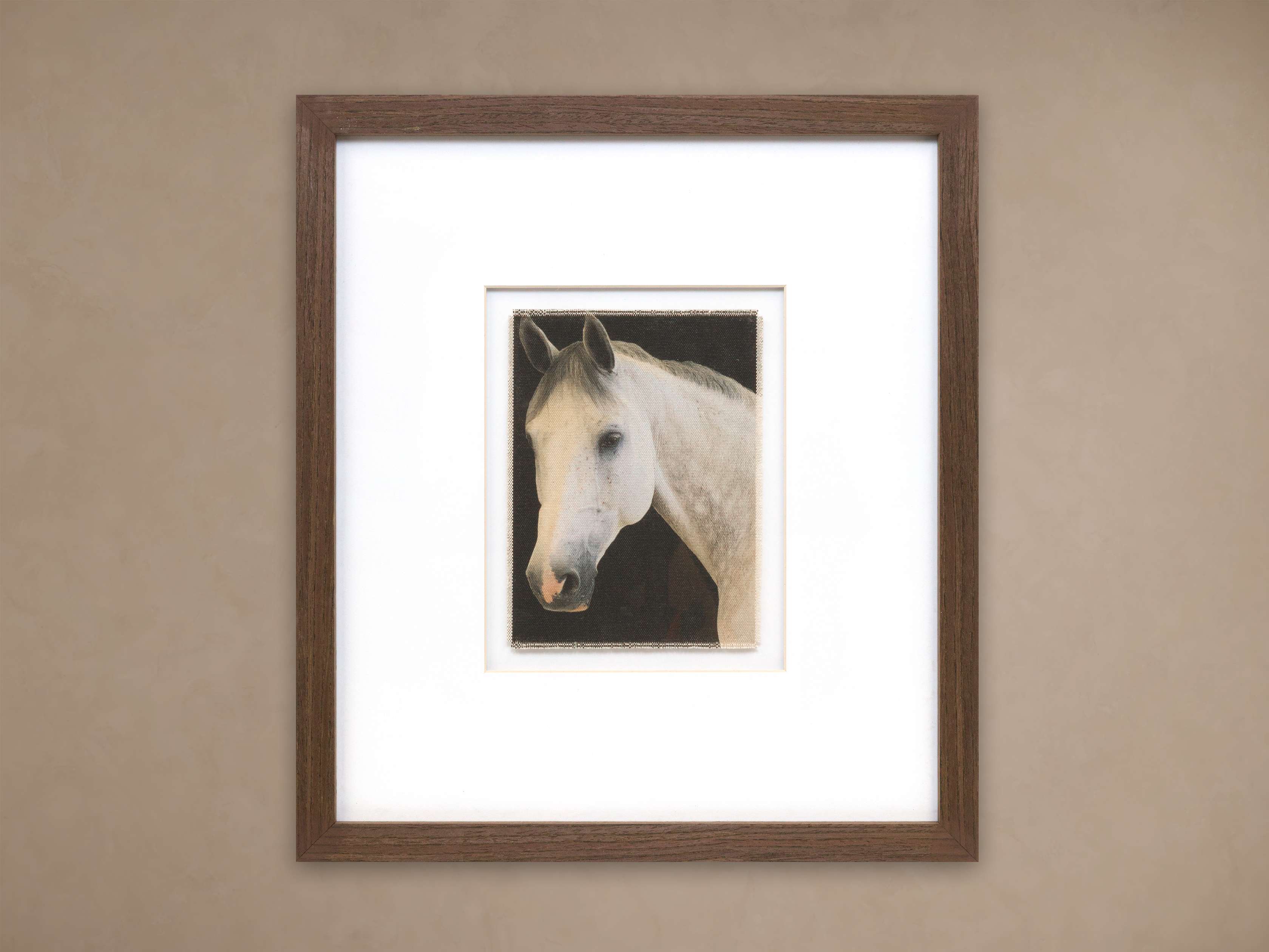 Equestrian Details Framed Print