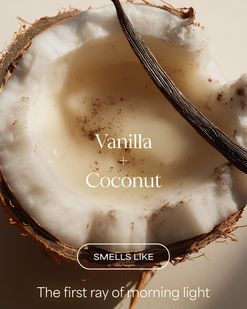 Vanilla Creamy Coconut Bliss Body Wash | Vanilla + Coconut | 20 fl oz