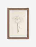 Vintage Japanese Iris No. 10 Wall Art by Miyoshi Manabu