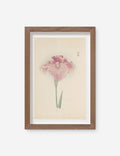 Vintage Japanese Iris No. 19 Wall Art by Miyoshi Manabu