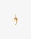 SABAL | Palm Tree Charm
