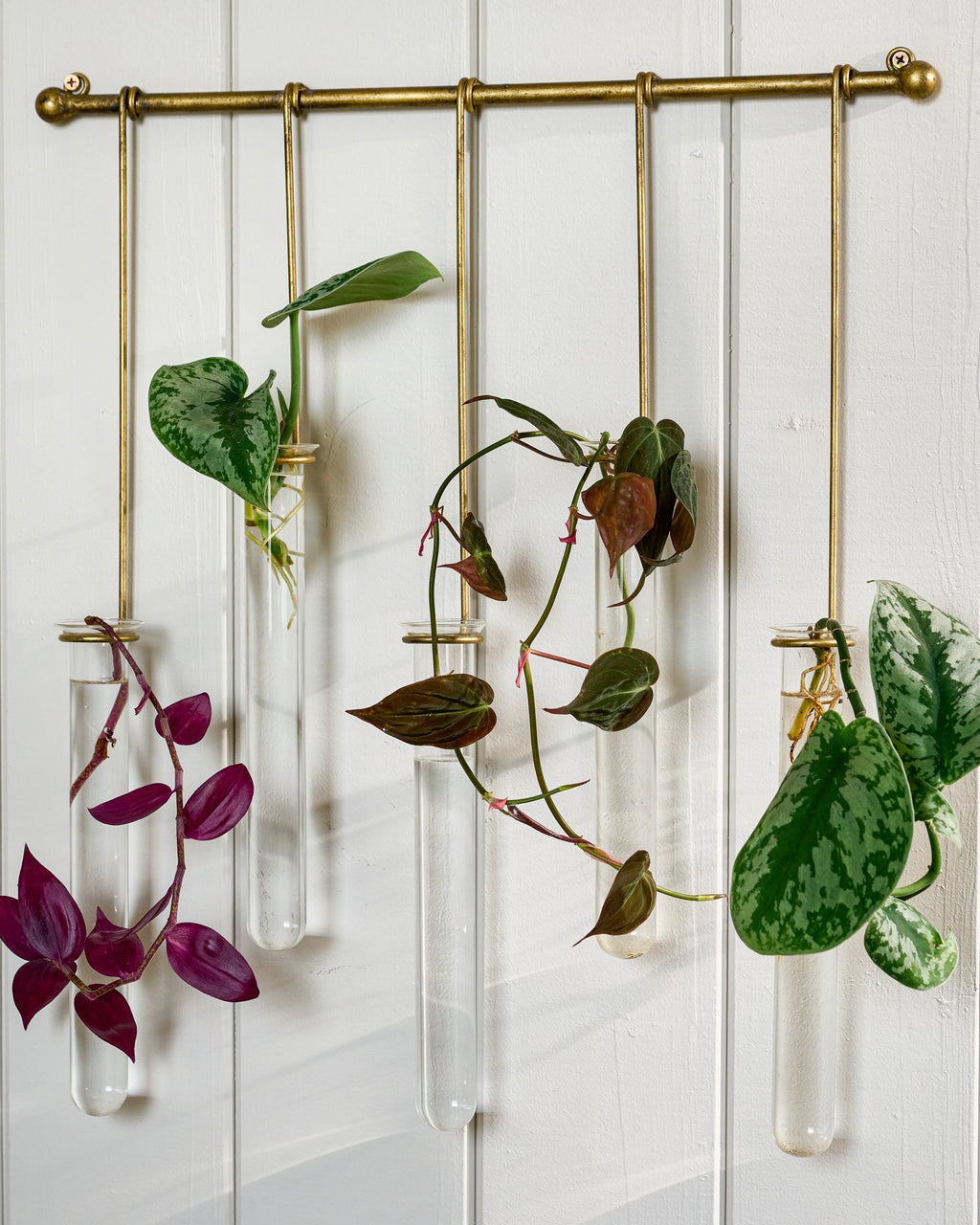 Lila Hanging Glass Wall Vase