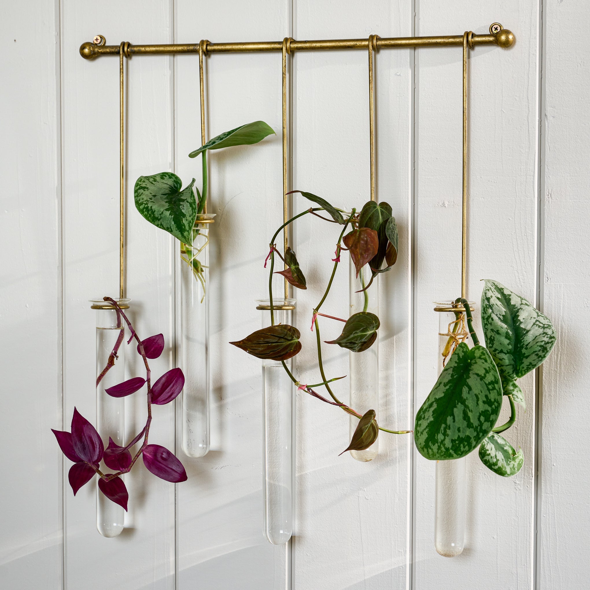 Lila Hanging Glass Wall Vase