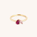 Astrid et Miyu Milestone Ring in Solid Gold