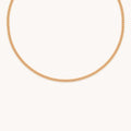Bold Essential Curb Chain Necklace in Gold