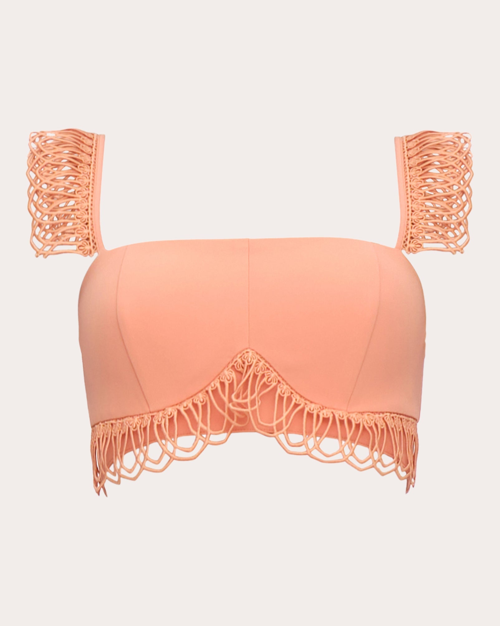 Rizo Lace-Trimmed Cropped Corset Top