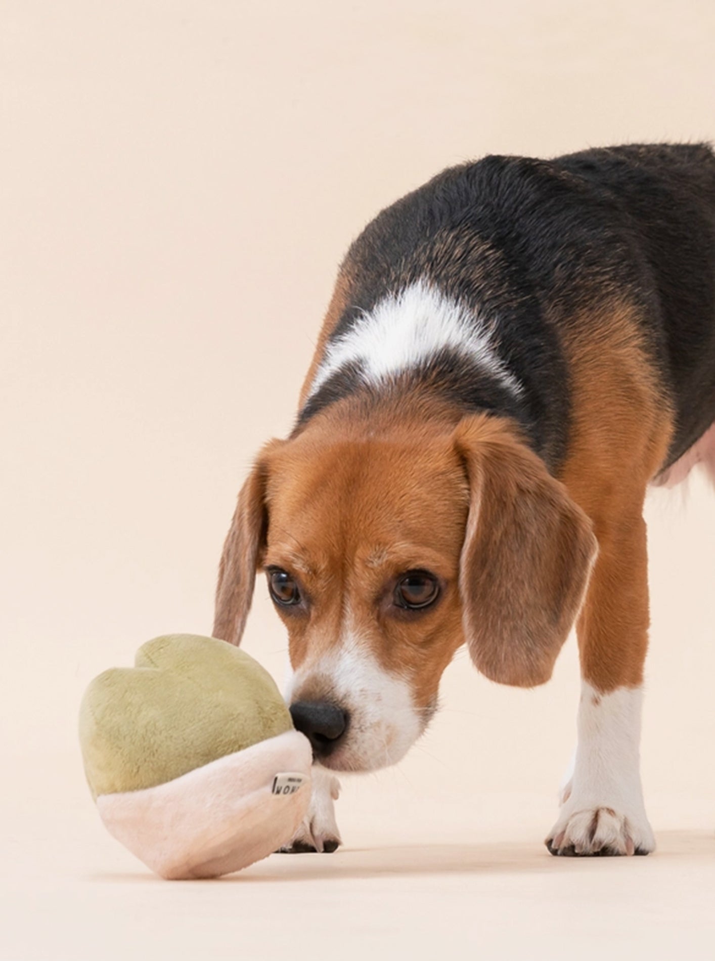 PLUSH ARTICHOKE DOG TOY