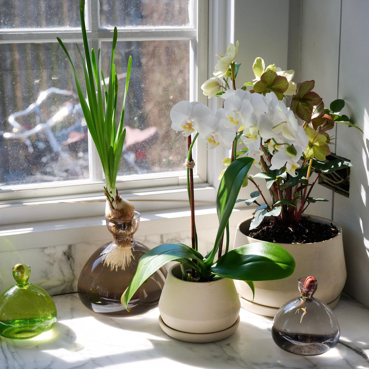 Avocado Vase