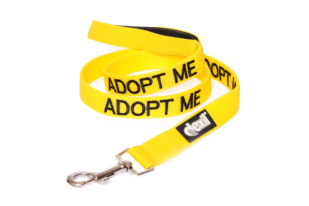 Adopt Me Lead