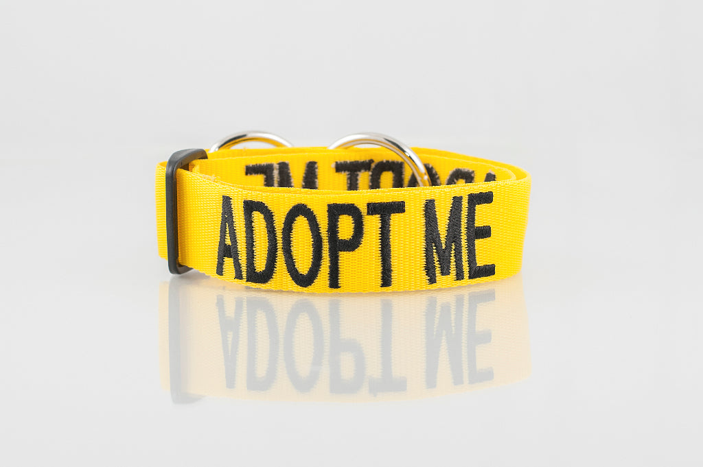 Adopt Me Collar