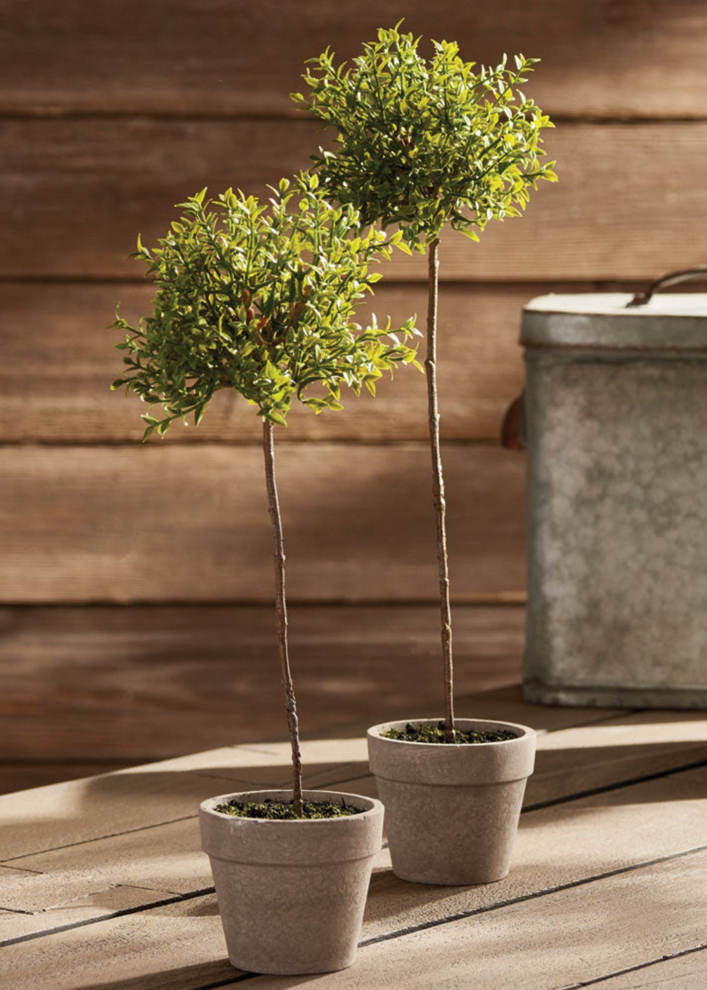 Artificial Thyme Herb Topiary Potted Plant - 13"