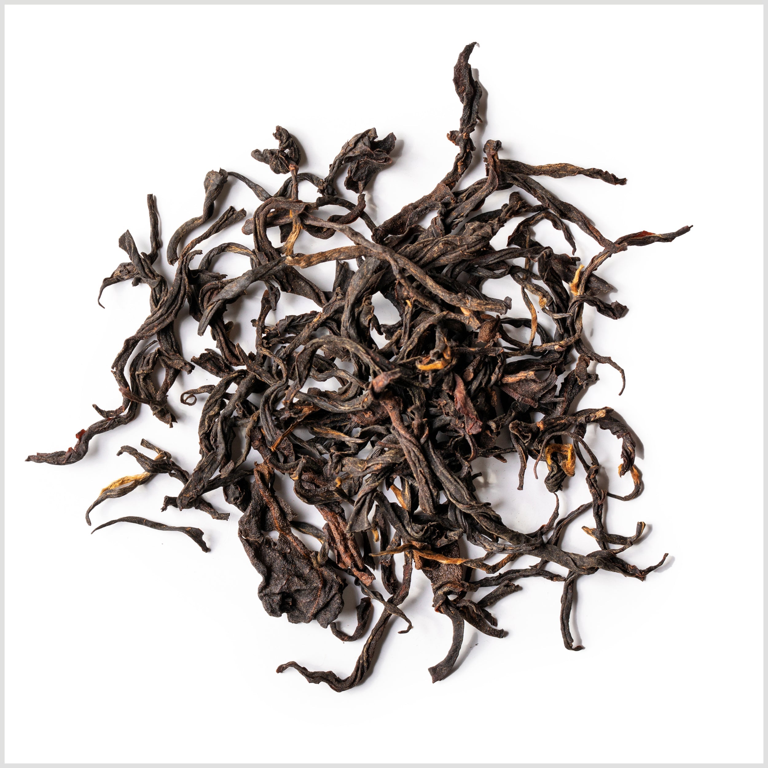 Ai Lao Wild Black