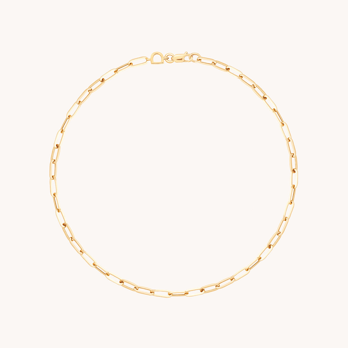 Piccadilly Story Chain Anklet in Solid Gold