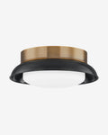 Arnie Flush Mount