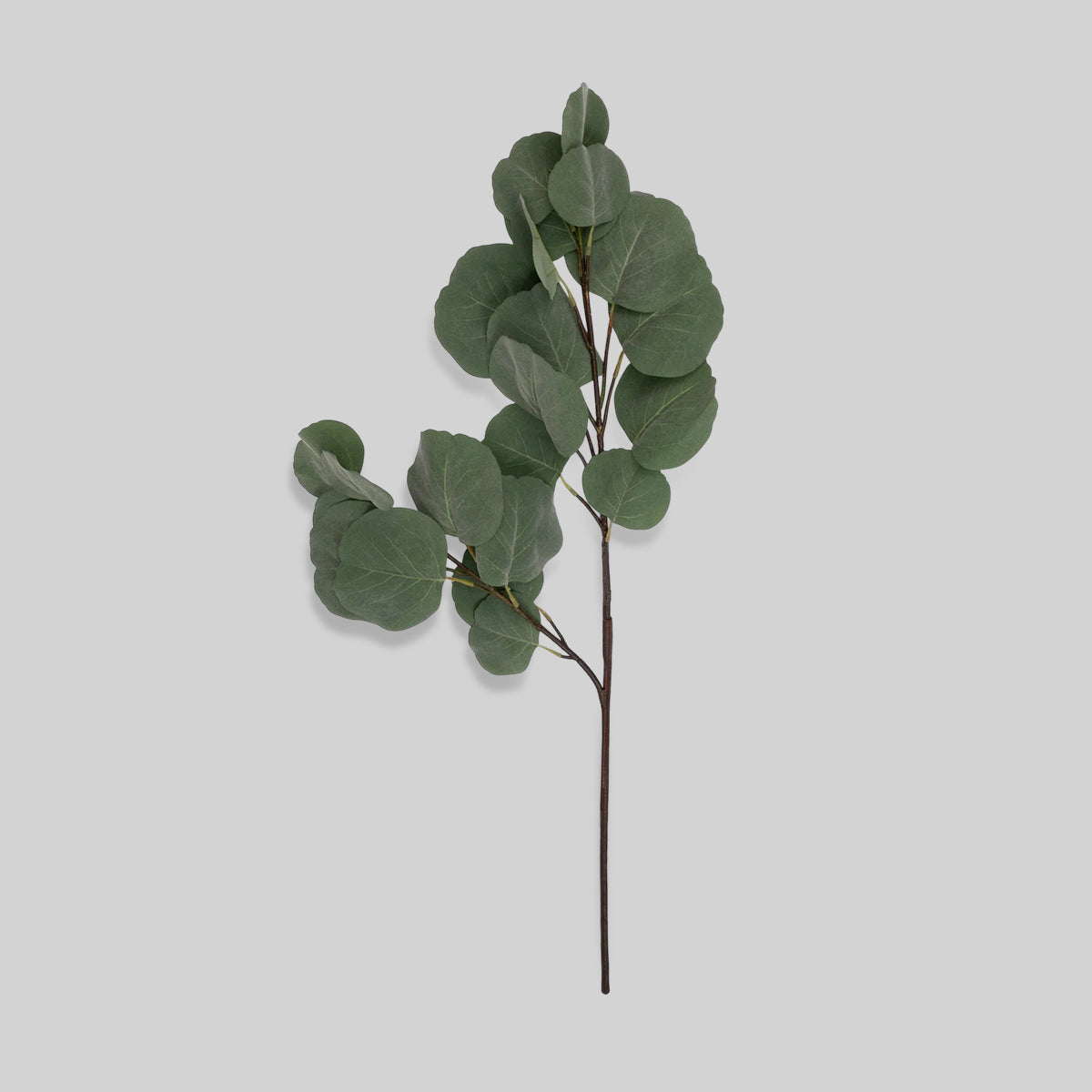 Faux Eucalyptus Silver Dollar