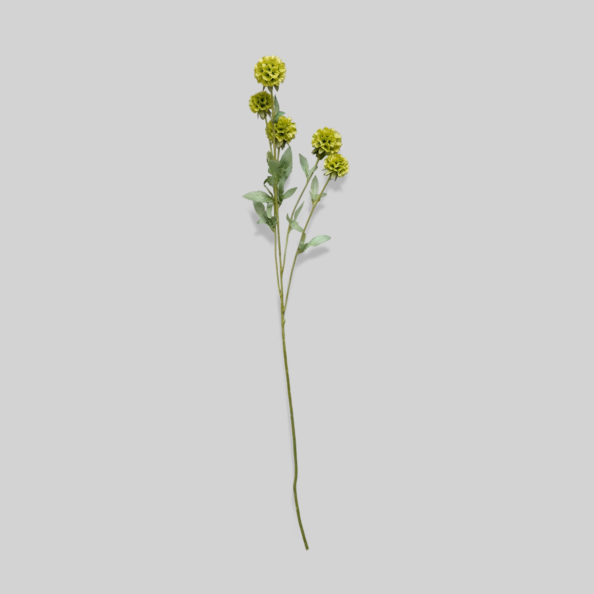 Faux Starflower Scabiosa