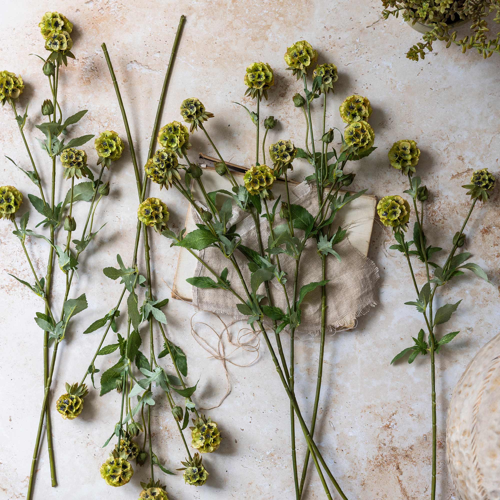 Faux Starflower Scabiosa