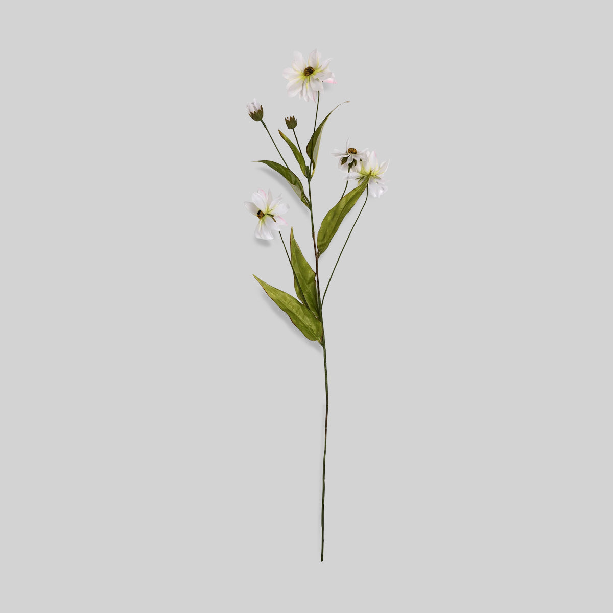 Faux Wild Cosmos
