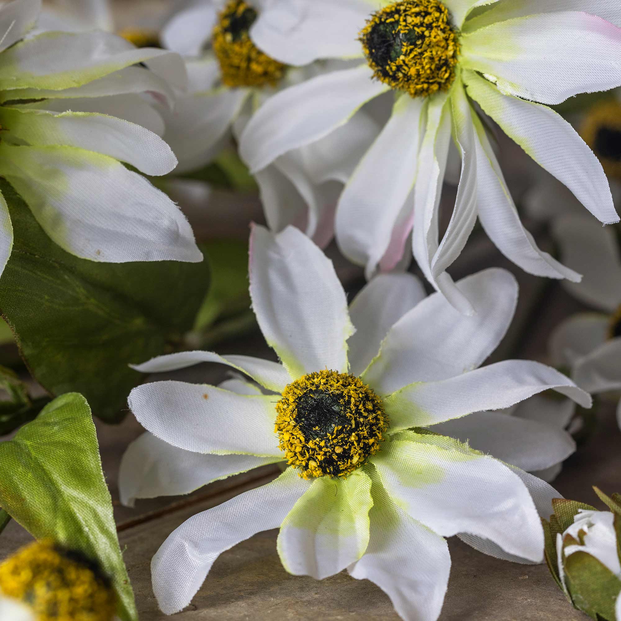 Faux Wild Cosmos