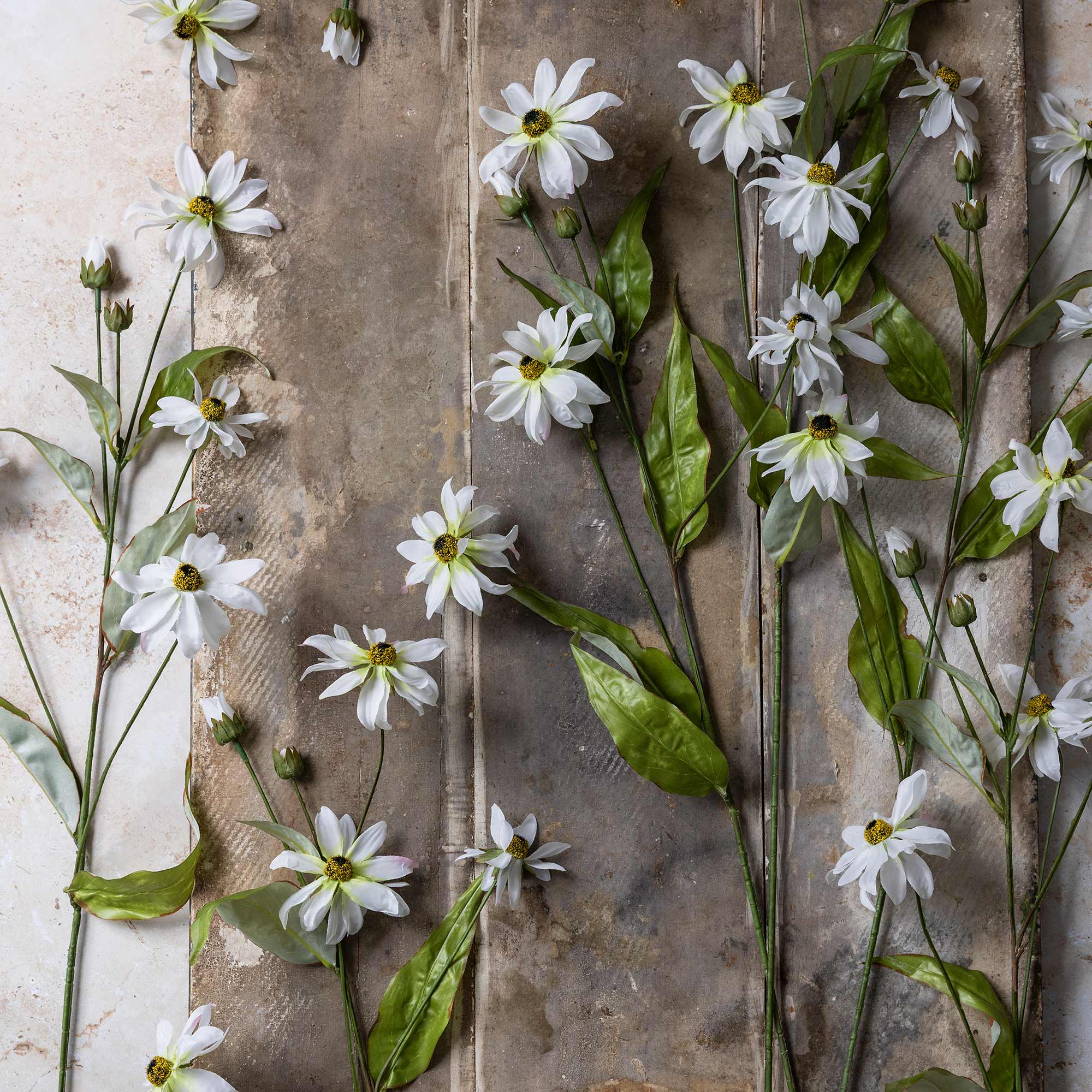 Faux Wild Cosmos