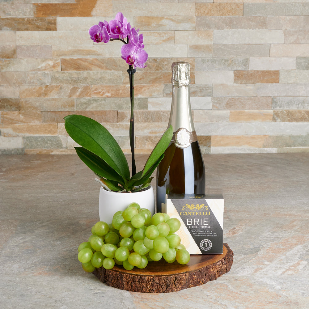 Blooming Orchid & Champagne Gift